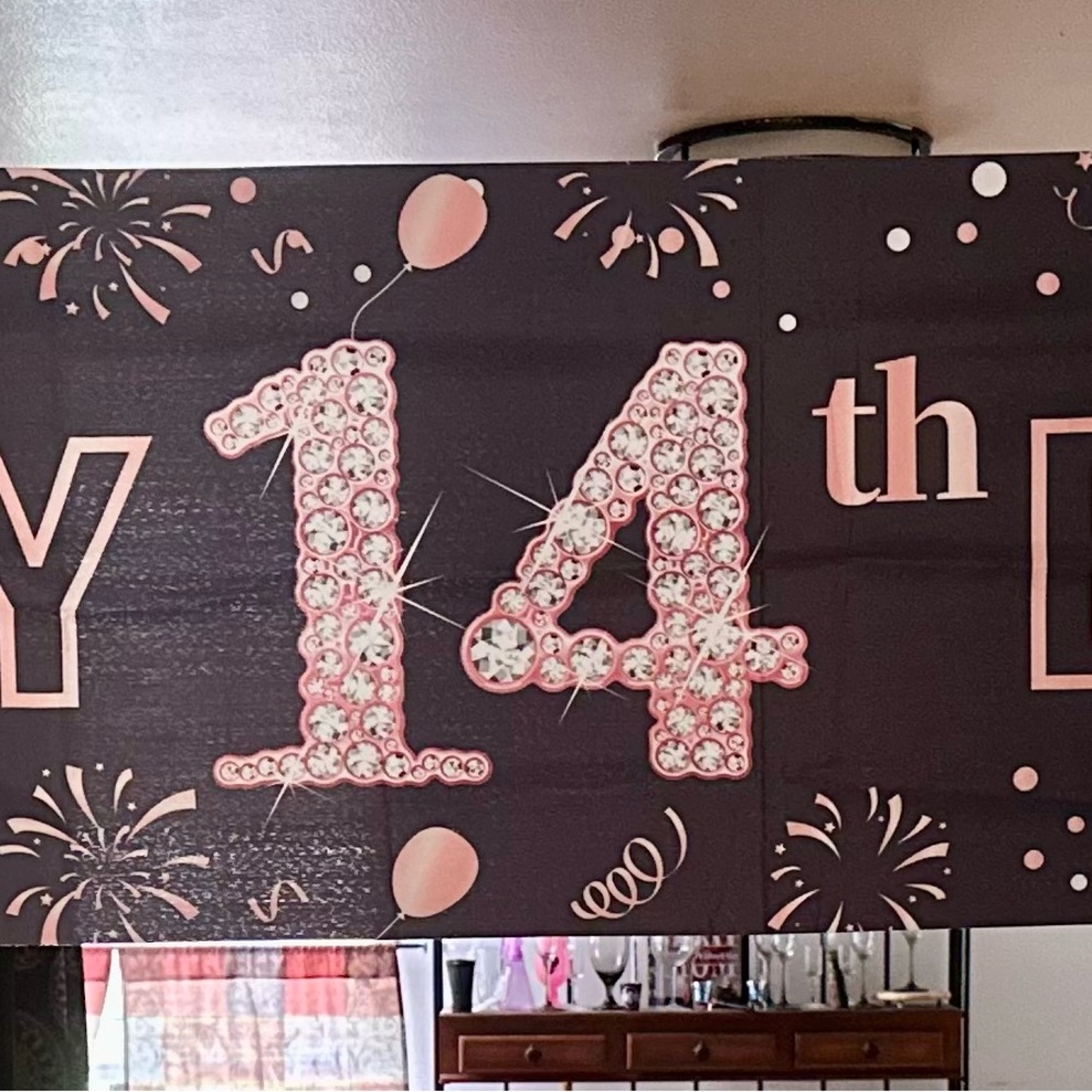 #200 Elegant Pink 14th Birthday Banner
